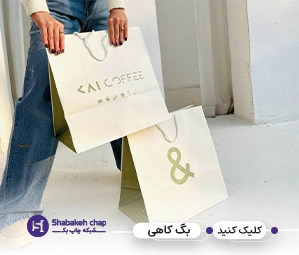 چاپ بگ کاغذی کاهی
